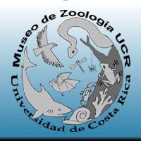 Museo de Zoología, UCR