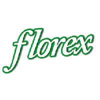 Distribuidora Florex Centroamericana S.A.