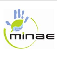 Ministerio de Ambiente  y Energía (MINAE)